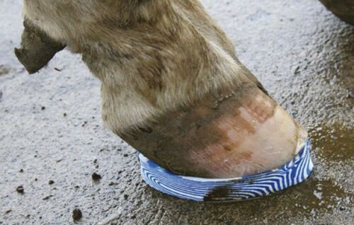 Walkease Cow Heel Hoof Pads For Cow Farm